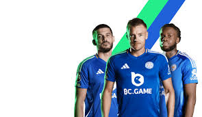 Unleashing the Fun A Comprehensive Guide to BC.Game